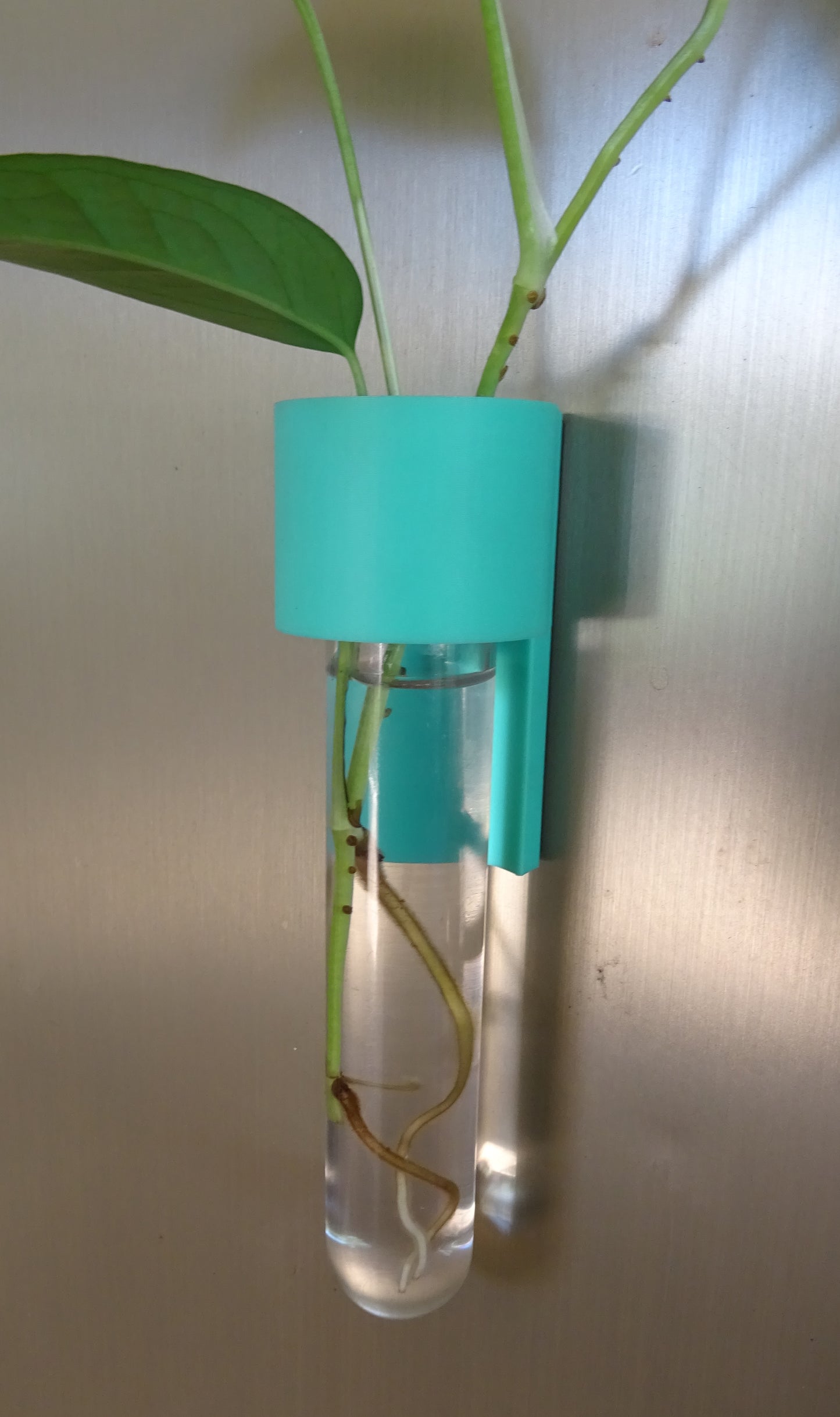 3D Printed Magnetic Fridge Hydroponic Planter/Vase