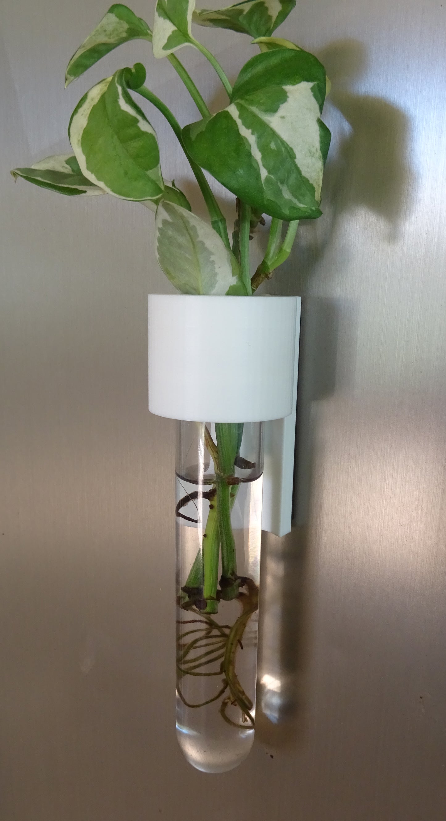 3D Printed Magnetic Fridge Hydroponic Planter/Vase