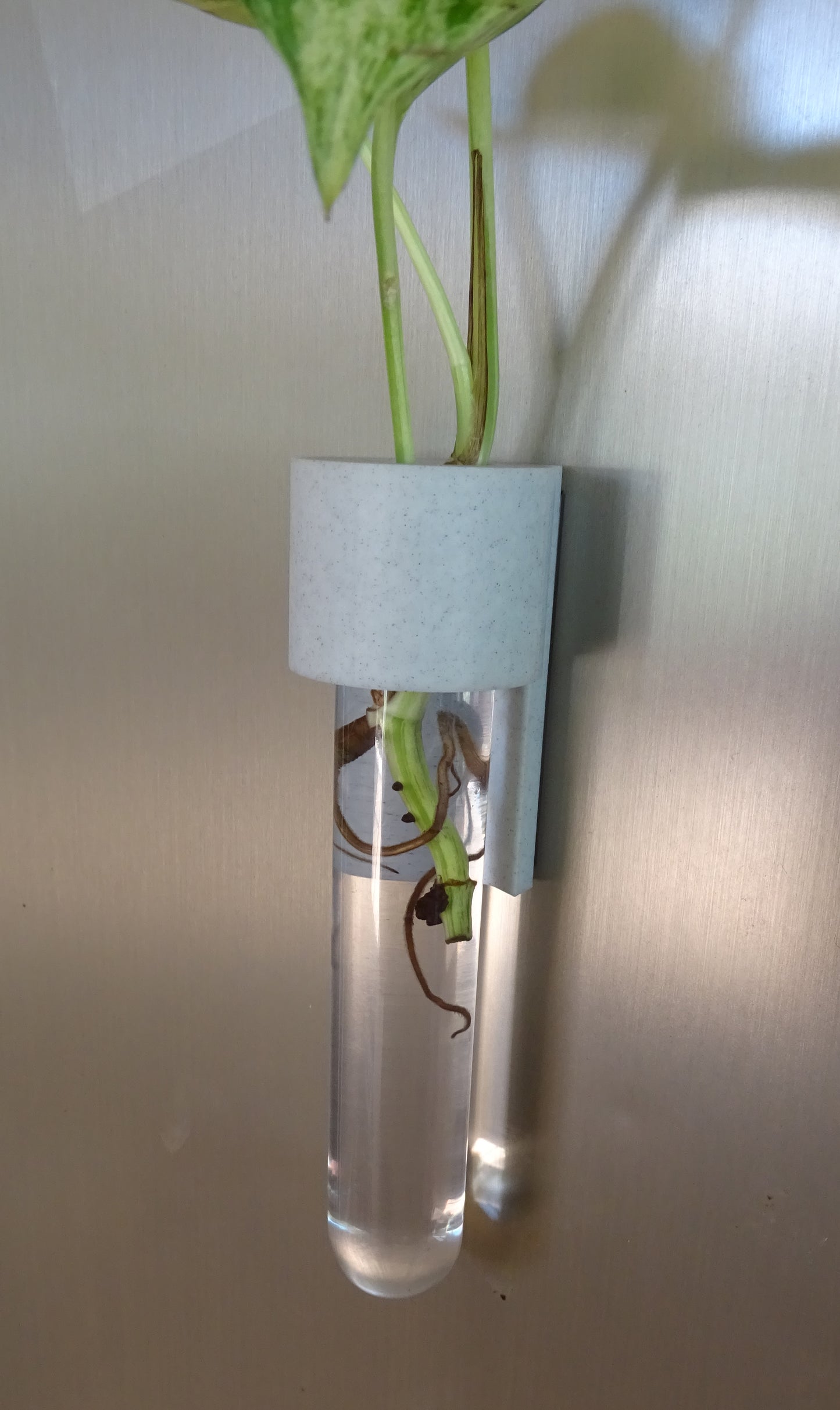 3D Printed Magnetic Fridge Hydroponic Planter/Vase