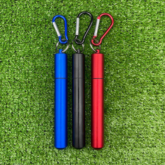 Collapsable Travel Smoothie/Boba Straw - Multiple Colours
